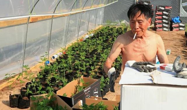 Chinese and Mexican drug cartels exploit woke American laws to cash in