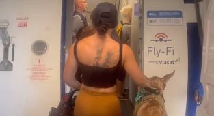 Fury as influencer is allowed to bring 120lbs 'service dog' on flight