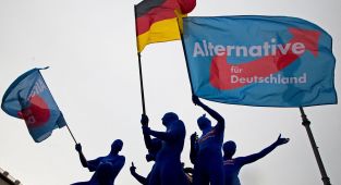 German spy agency designates AfD as 'right-wing extremist' group