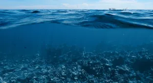Hidden city built 140,000 years ago discovered at bottom of ocean