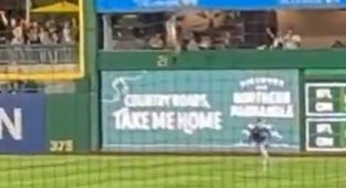Horrifying moment MLB fan plunges from the stands and falls onto field
