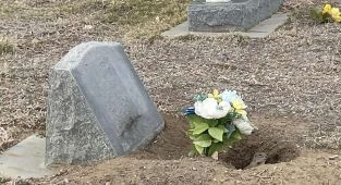 Horror as swarm of feral beasts dig up loved ones' graves in cemetery