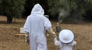 Meghan shares full clip of honey harvesting with Lilibet