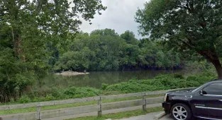 Middle-aged mother's astonishing actions that ended with two dead