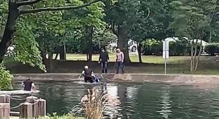 Migrant tries to escape ICE by jumping into pond outside courthouse