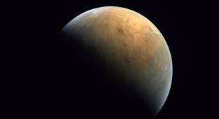 Musk says 50-50 chance of sending uncrewed Starship to Mars by late 2026