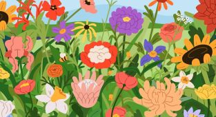 Optical illusion sees letters hidden in the garden - can you spot it