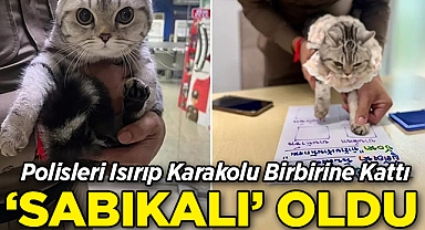 Polisleri Isırıp Karakolu Birbirine Kattı: Sabıkalı Oldu!