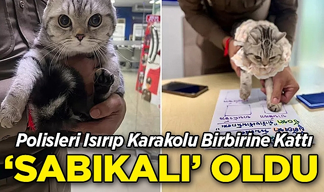 Polisleri Isırıp Karakolu Birbirine Kattı: Sabıkalı Oldu!