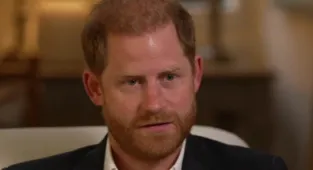Prince Harry references Diana: 'Some want history to repeat itself'