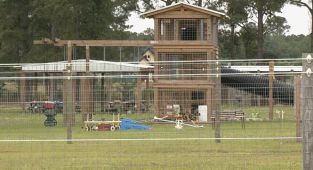 Rare but cute animal battered South Carolina man to death