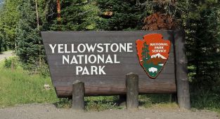 Reckless tourist becomes latest victim of beast in Yellowstone