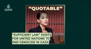 “Sufficient law” exists for United Nations to end genocide in Gaza