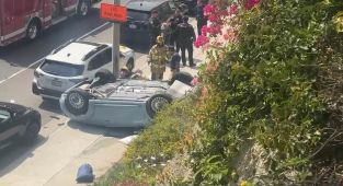 Teen accidentally kills relative by driving off cliff while learning