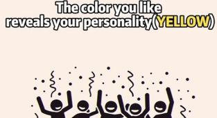 Test reveals your personality based on your favourite colour