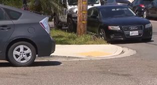 Ultra-petty new California law tricking drivers into paying huge fines