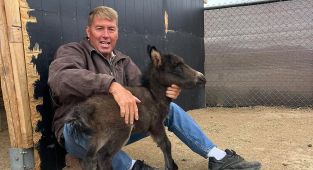 Veterinarian's cause of death revealed after he disappeared