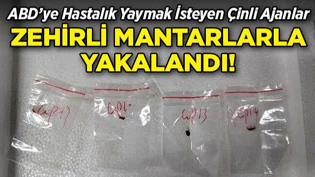 ABD'ye Hastalık Yaymak İsteyen Çinli Ajanlar Zehirli Mantarlarla Yakalandı!