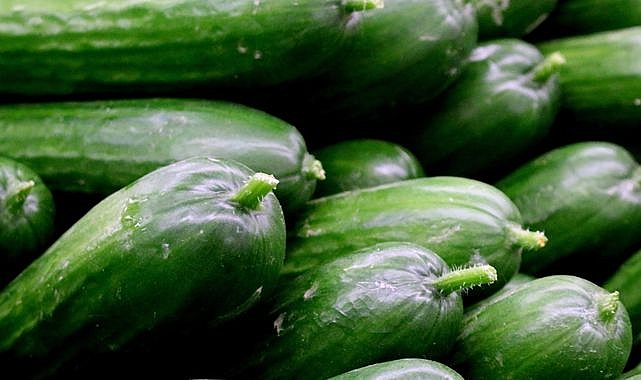 ABD genelinde salatalıkta durum ciddileşiyor: Ürünler raflardan tek tek çekiliyor!