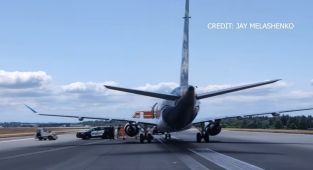 Alaska Airlines passenger causes ground stop at Seattle Airport