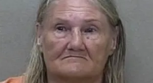 'Geriatric Karen' attacks mother and kids with pepper spray