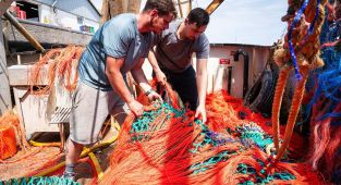 'Silent' crisis threatens to wipe out $300bn major coastal industry