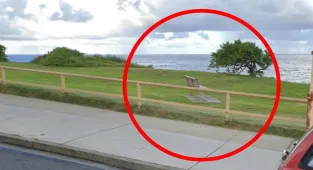Awkward blunder wrecks touching beauty spot tribute to beloved swimmer