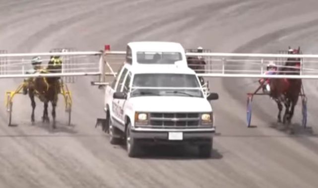 Boy, 3, is killed in 'tragic accident' at horse racing event