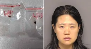 Chinese researchers charged with smuggling 'dangerous biological pathogen' into US