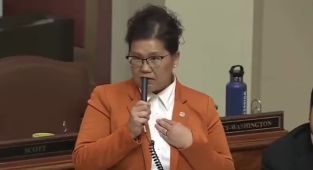 Democrat state rep admits she's in the country 'illegally'