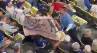 Dodgers fan protesting ICE removed from game by security