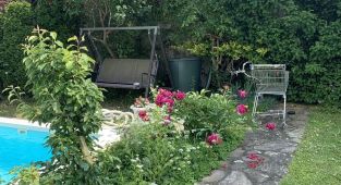 Garden photo has a white cat hidden in plain sight - can you spot it?