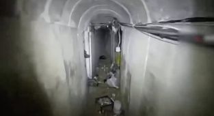 Hamas chief 'The Shadow' WAS killed in airstrike on Gaza hospital