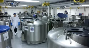 Harvard to destroy 1.5M samples that could hold key to cancer cure
