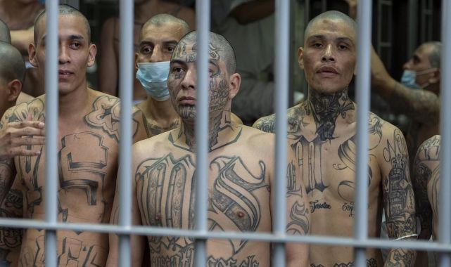 How feared South American drug cartels are now operating INSIDE Europe