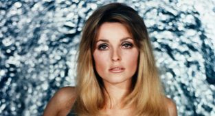 I butchered Sharon Tate after Charles Manson's three-word command