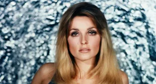 I butchered Sharon Tate after Charles Manson's three-word command