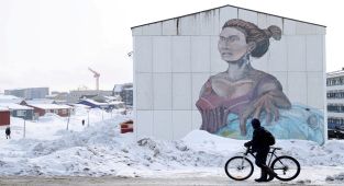 Macron to visit Greenland to boost ‘European unity’ amid Trump threats
