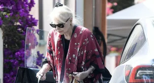 Man seen swiping Michelle Phillips' discarded mail outside her LA home