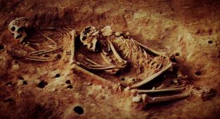 Mysterious 6,000-year-old remains with never-before-seen DNA