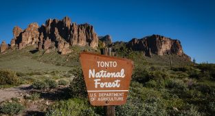 Mystery as teen couple are found dead in remote national forest