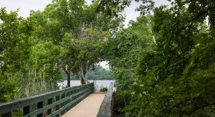 Over three dozen bodies found in Austin's Lady Bird Lake since 2022