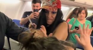 Plane passenger's drunk meltdown over sitting next to 'fat' woman
