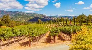 Second biggest alcohol distributor in the US quits California