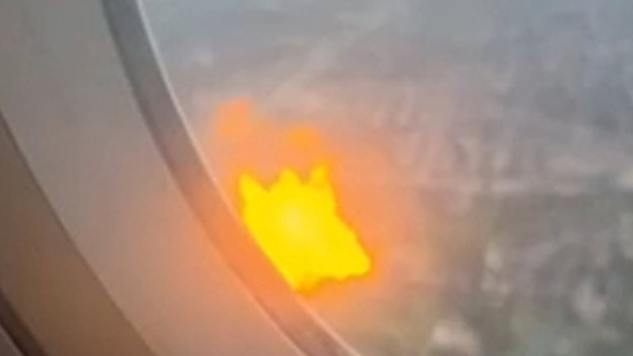 Terror as American Airlines plane catches fire mid-flight