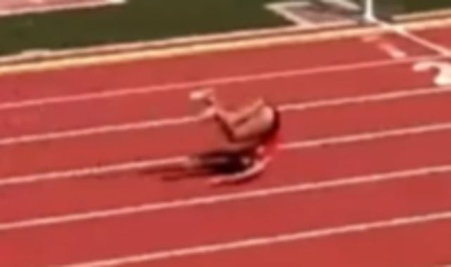 Track star trips over hurdle... what happened next stunned fans
