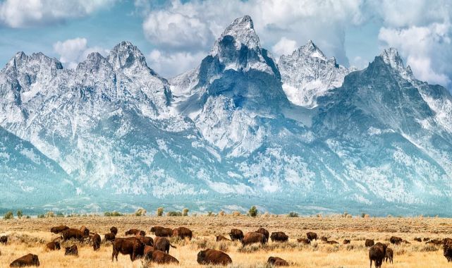 US state has million-dollar property boom thanks to 'secret weapon'
