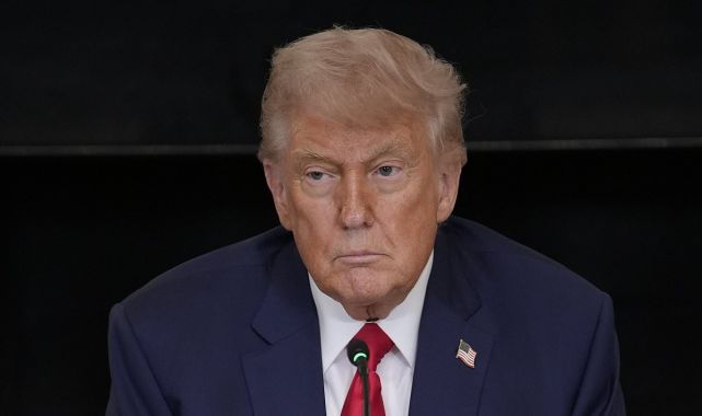 Voters say Trump would have won the election without Elon Musk