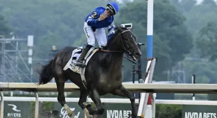 Where did your horse finish in the Belmont Stakes 2025?