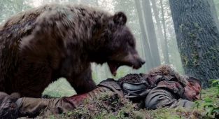 Would YOU know how to survive a real-life Revenant bear attack?